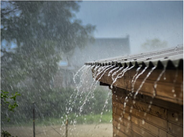 Breaking News : अगले सप्ताह पूर्वोत्तर भारत में हो सकती है बारिश, विशेषज्ञों ने बताए बाढ़ की संभावना